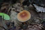 eseorimiki102_s.jpg