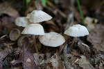 oohouraitake134_s.jpg