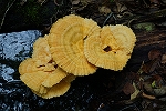 aikawatake311_s.jpg