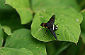 kurobaneturiabu058_s.jpg