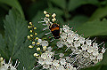 oohanaabu054_s.jpg