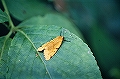 benisitahitori001_s.jpg
