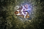 hitoriga007m_s.jpg
