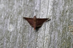 kiberitogarimeiga634_s.jpg