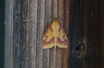 yuugumonomeiga047_s.jpg