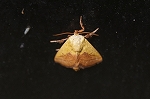 iraga585m_s.jpg