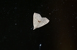 atoherihitohosiatuba388_s.jpg