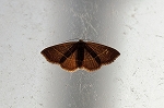 atotenkurumakoyaga038m_s.jpg