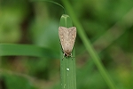 awayotou419m_s.jpg
