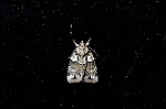 haiirokinokoyotou829m_s.jpg