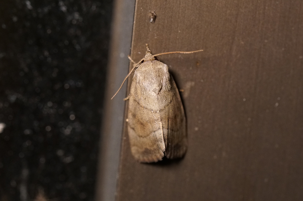 itayakiriga056m.jpg