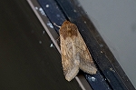 kitabakoga069m_s.jpg