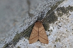 nokometogarikiriga026m_s.jpg
