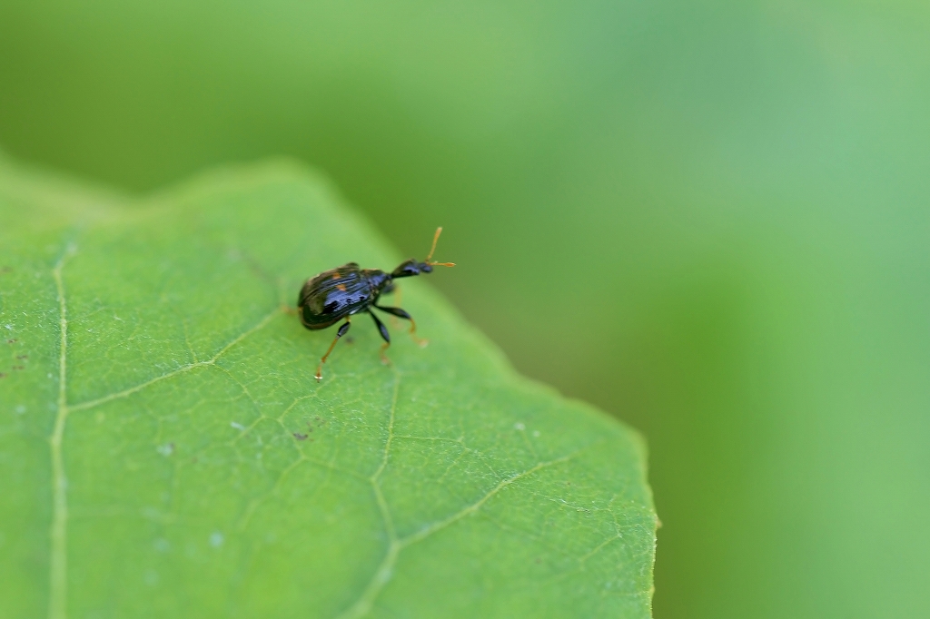 mutumonotosibumi043m.jpg