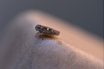 zukinyokobai038m_s.jpg
