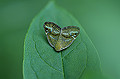 bekkouhagoromo025_s.jpg