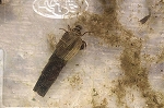 eguritobikera_youtyu035m_s.jpg