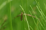 kiasigakanbo039m_s.jpg