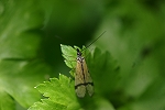 kisitatogesiriage073_s.jpg