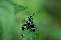 yamatosiriagee015_s.jpg