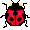 musi.GIF