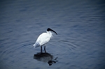 kurotoki07_02010_n_s.jpg