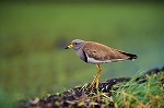 keri15026_n_m_s.jpg