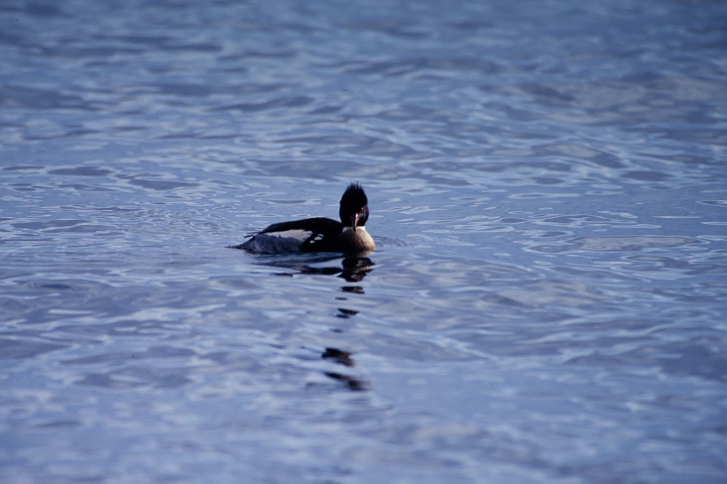 umiaisa07_03011_n.jpg