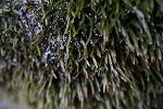 ebigoke025_s.jpg