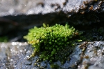 kehetimagoke046_s.jpg