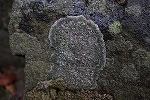 hosigoke049_s.jpg